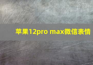 苹果12pro max微信表情